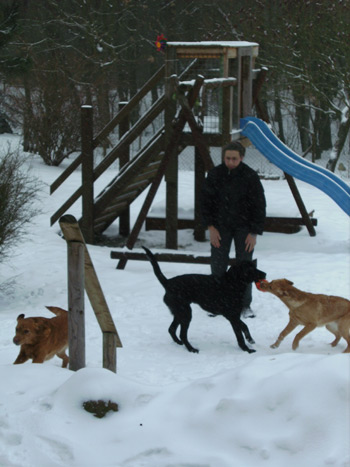 Auch Aslan, Inka & Orla verstehen sich prächtig 